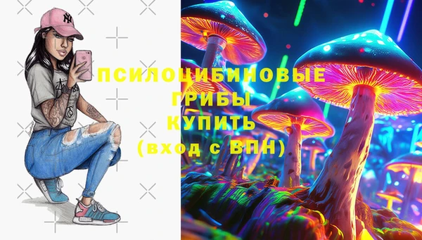 метадон Алексин