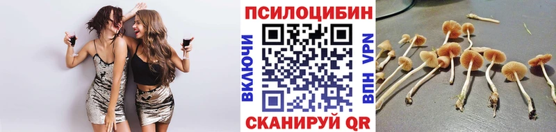 Псилоцибиновые грибы GOLDEN TEACHER  закладки  Опочка 